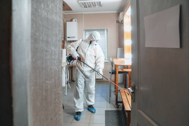Best Airborne Mold Testing  in Fairfield Harbour, NC