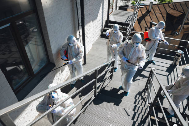Best Mold Remediation for Healthcare Facilities  in Fairfield Harbour, NC