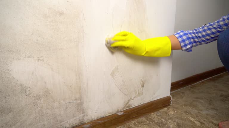 Best Mold Odor Removal Services  in Fairfield Harbour, NC
