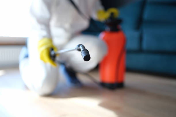Best Real Estate Mold Inspection  in Fairfield Harbour, NC