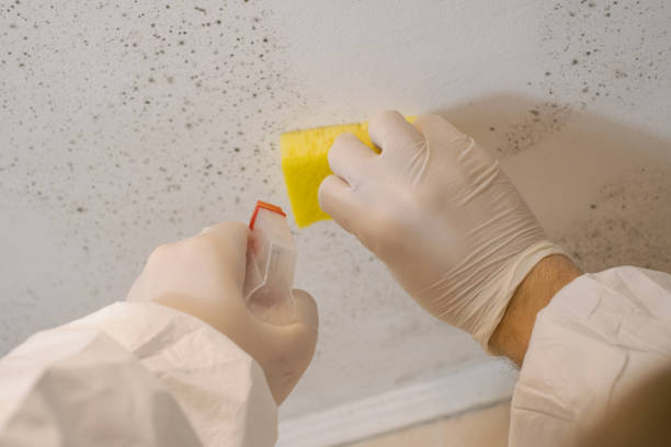 Best Post-Construction Mold Inspection  in Fairfield Harbour, NC