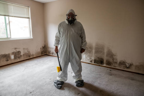 Best Mold Damage Restoration  in Fairfield Harbour, NC
